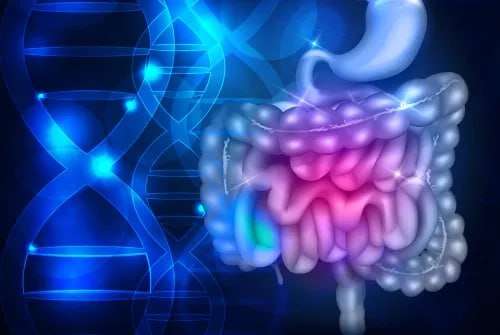 17677740401902870585