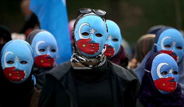 17682070551283545114