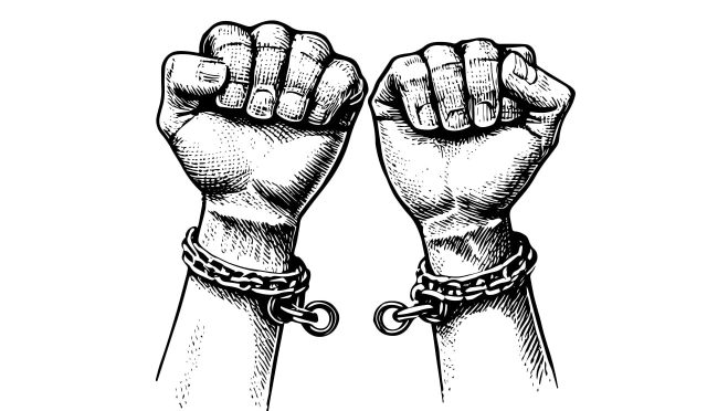 17683103221484859509