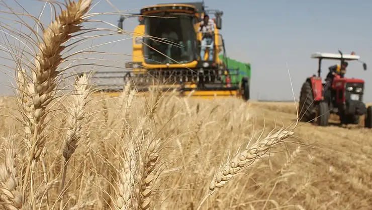KONYA’DA GENEL TARIM SAYIMI SÜRÜYOR