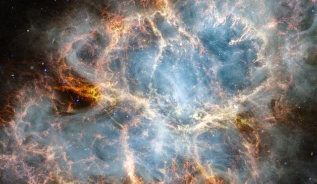 17684595132005663031