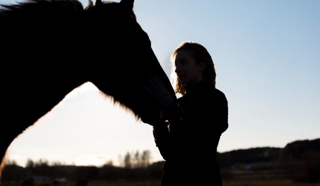 17684808231504846781