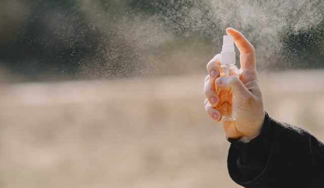 17685470561635274785