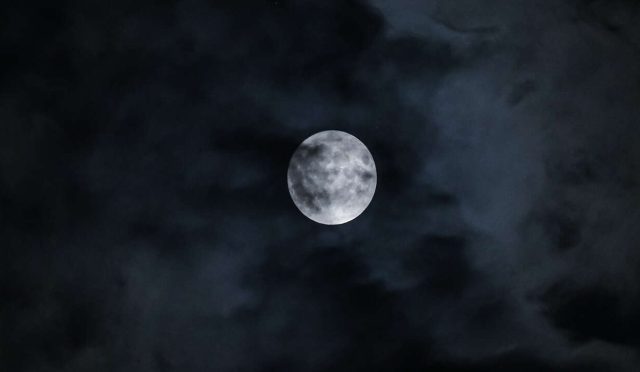 17685708441779455864