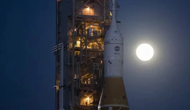 17686391881385487772