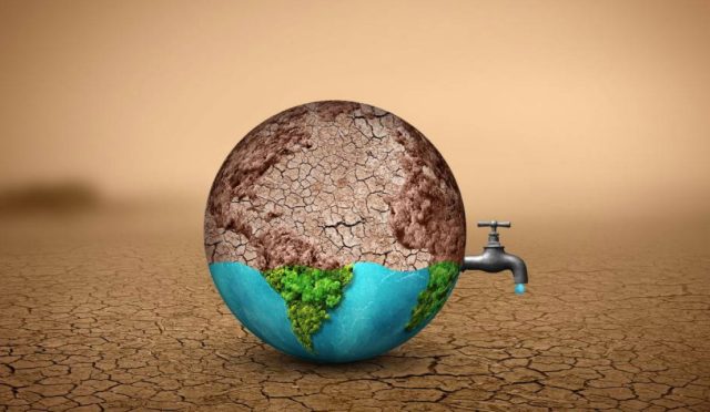 17689966241528891646