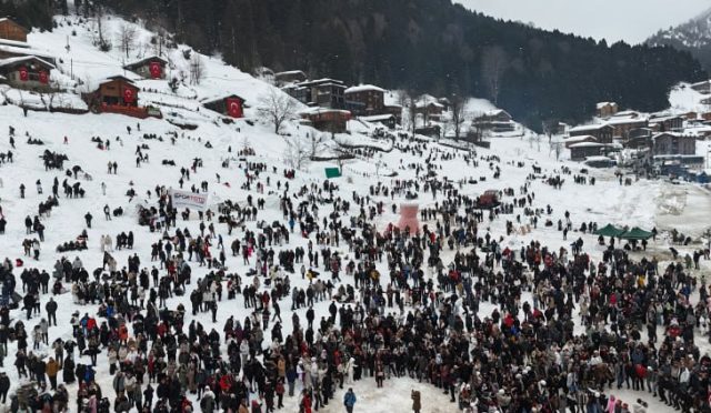 17694178611432011917