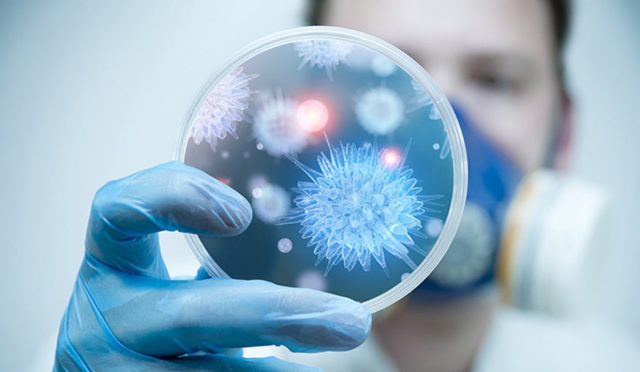 17694221321247849886