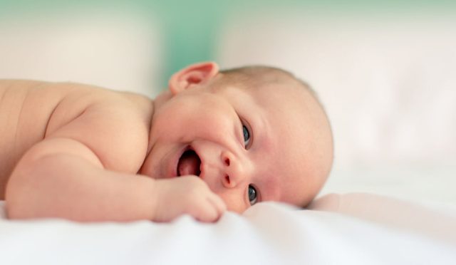 17695121651774586245