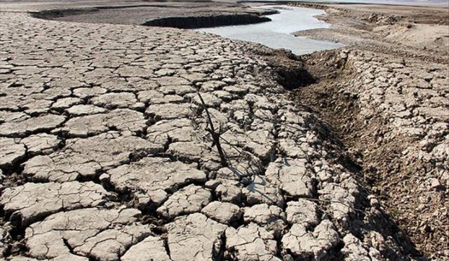 17702016891111492087