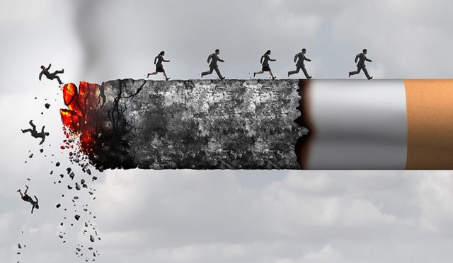 17707989302124078523