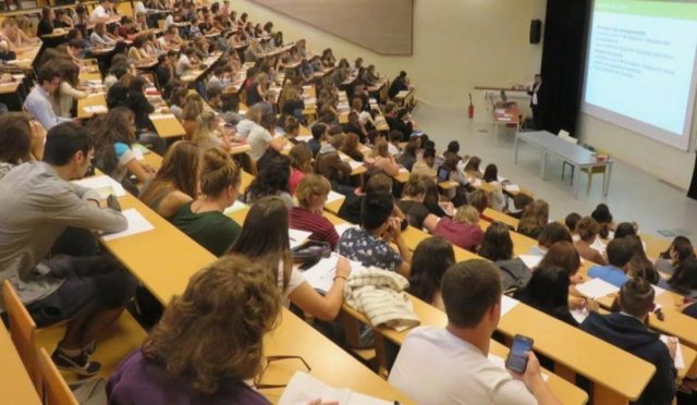 17713152431695754341