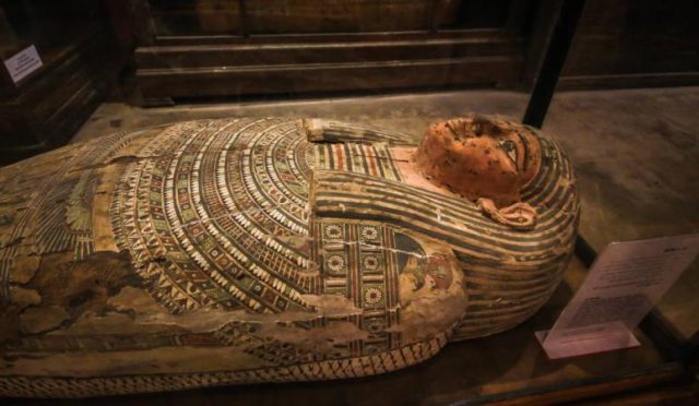 17713981061756020808