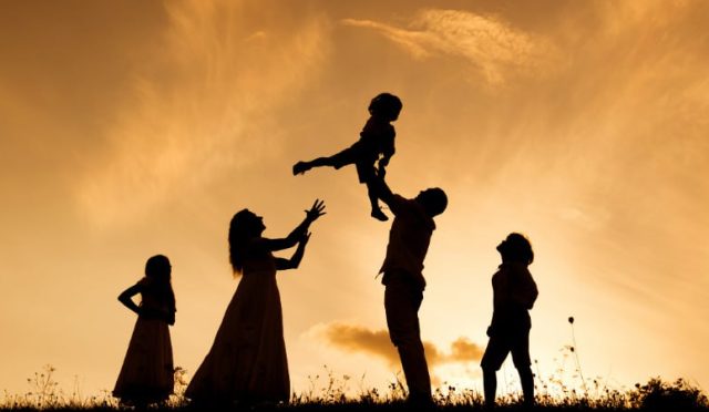 17714126561983169497