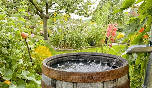 17714887261897937343