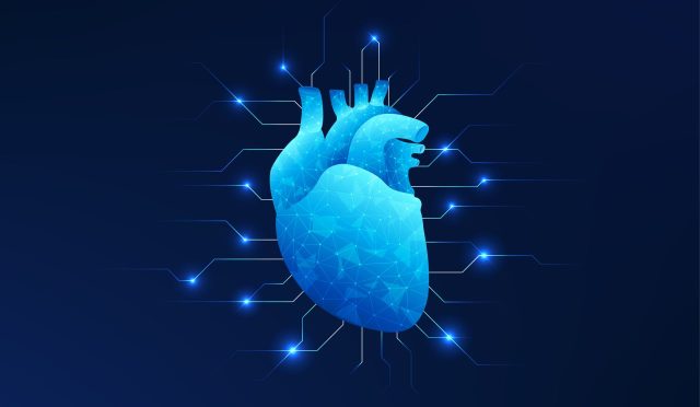 17720029521518411408