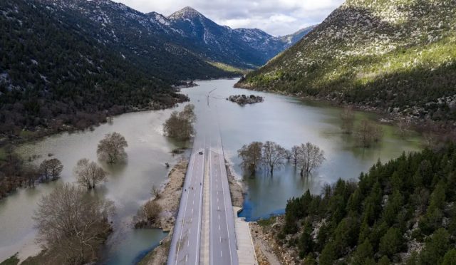 17724358661694531068