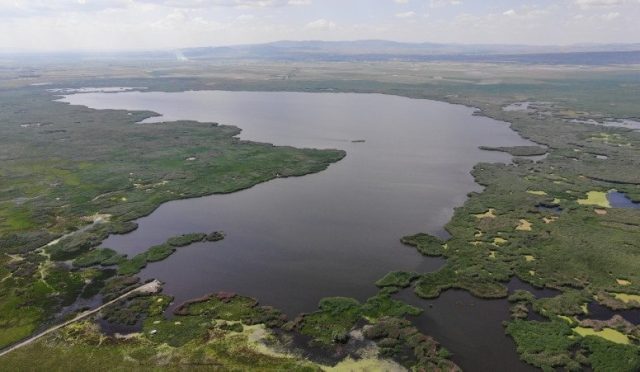 17733889651924583536