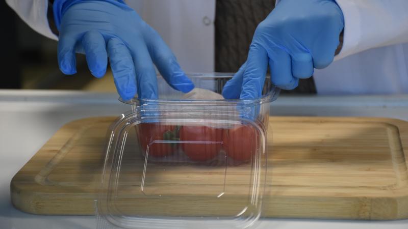 GIDALARIN RAF ÖMRÜNÜ 15 GÜN UZATAN AMBALAJ GELİŞTİRİLDİ