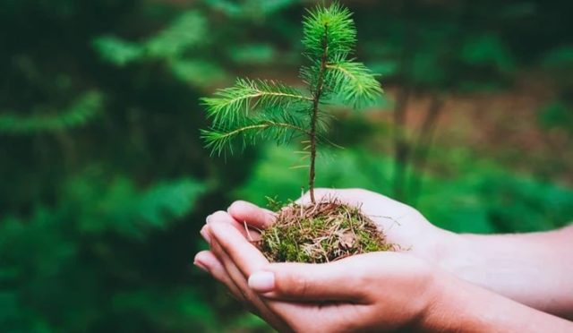 17744225471673892882