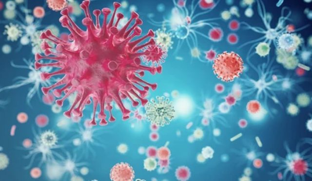 17744252641772174145