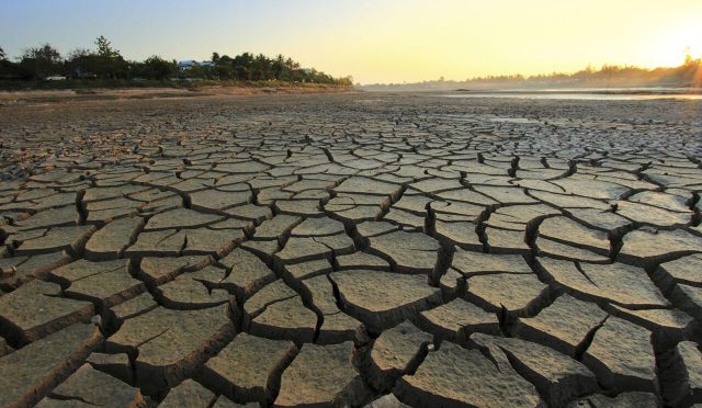 17758123411524177510