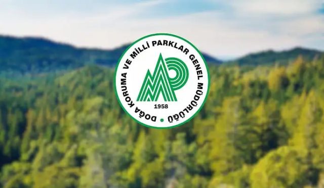 17758960561047963407