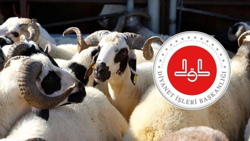 DİYANET VEKALETLE KURBAN KESİM BEDELLERİNİ AÇIKLADI