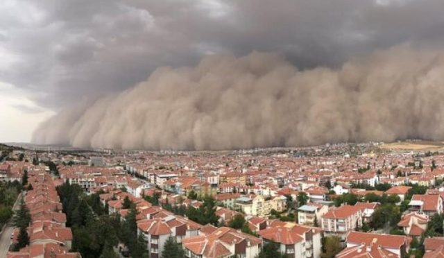 17772740511669068142