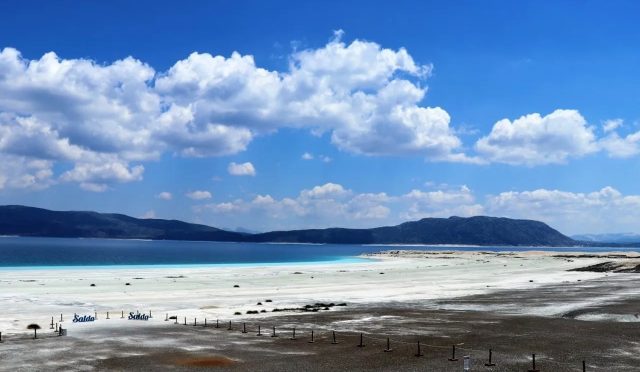 17775442591585985845