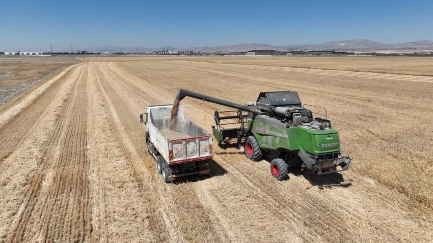 SELÇUKLU BELEDİYESİ’NDEN ATIL ARAZİLERDE İLK HASAT