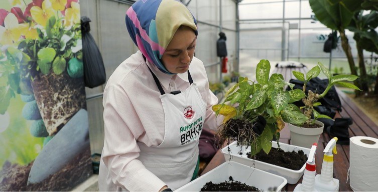 SOLAN BİTKİLER UZMAN ELLERDE YENİDEN CANLANIYOR